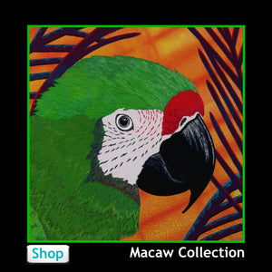 Macaw Parrots from Jan Rickman